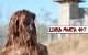 Linha Morta #7 – As últimas novidades do mundo de The Walking Dead