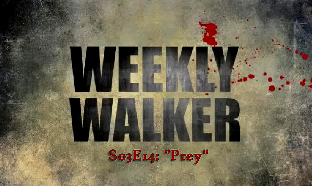 Weekly Walker #2 – S03E14: “Prey”
