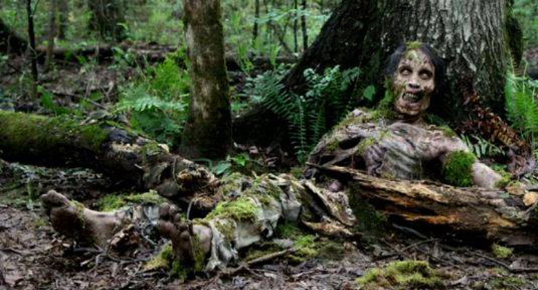 Primeira imagem da edição especial do blu-ray da 4ª temporada de The Walking Dead – Walker da Árvore