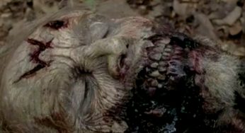 The Walking Dead 5ª Temporada: O que os W’s nos walkers significam?