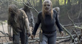 The Walking Dead 10ª Temporada Episódio 10 – Stalker