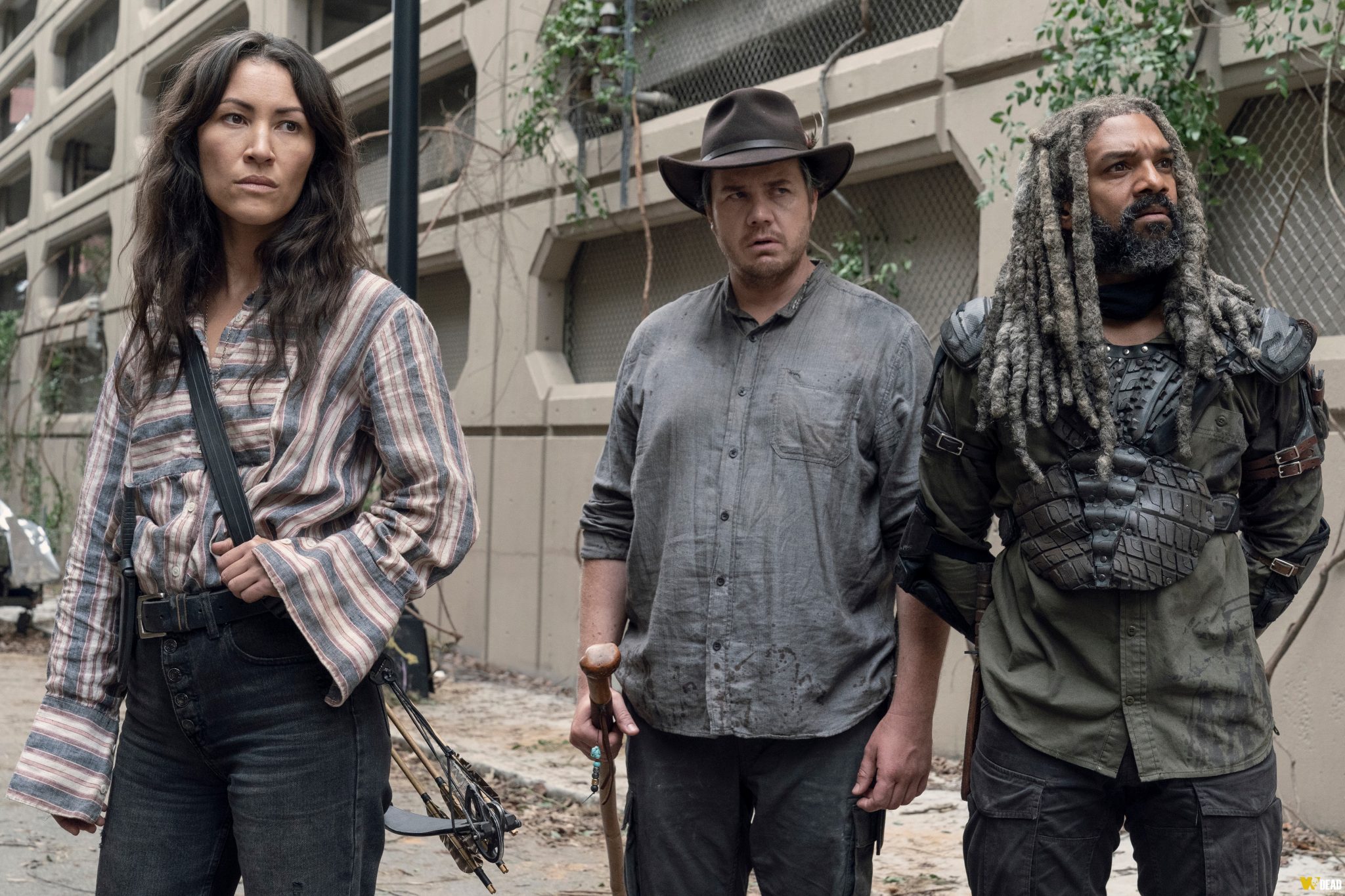 Grupo De Magna The Walking Dead