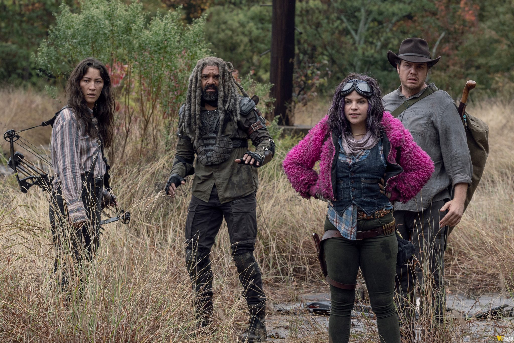 Grupo De Magna The Walking Dead