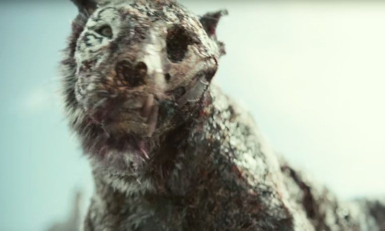 Tigre Zumbi no trailer do filme Army of the Dead