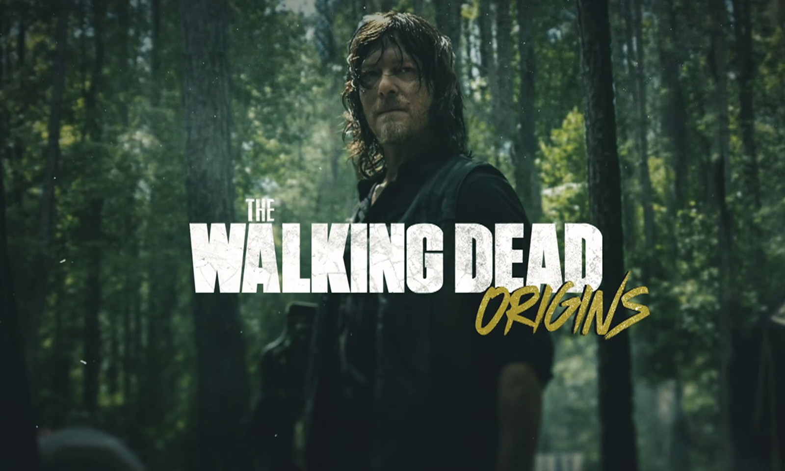 Pôster de The Walking Dead: Origins - Daryl Dixon