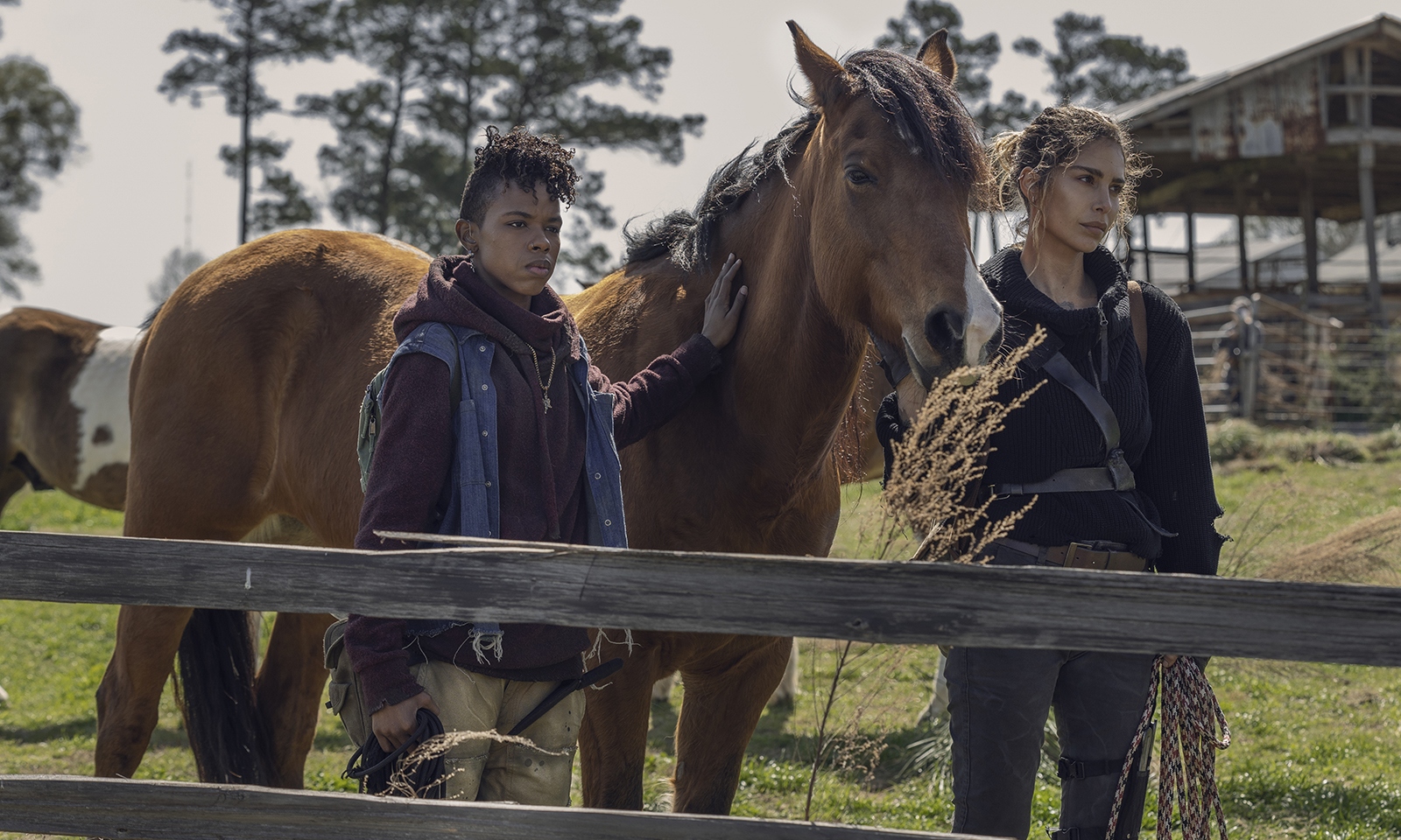 Kelly e Magna segurando um cavalo no episódio 3 da 11ª temporada de The Walking Dead.