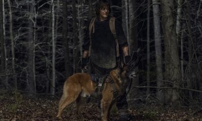 Daryl e Dog encarando algo ou alguém no episódio 4 da 11ª temporada de The Walking Dead.