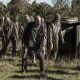 Horda de walkers em cena do episódio 17 da 11ª temporada de The Walking Dead.