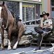Rick Grimes sentado ao lado de seu cavalo durante os bastidores do primeiro episódio de The Walking Dead.