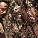 Imagem promocional com Rick na prisão e os zumbis na cerca na 4ª temporada de The Walking Dead.