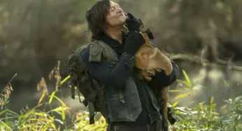 The Walking Dogs | AMC anuncia spin-off focado nos cães do elenco do Universo The Walking Dead