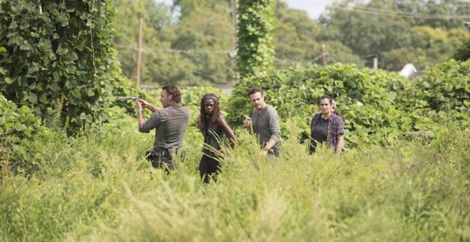 the walking dead fotos 7b